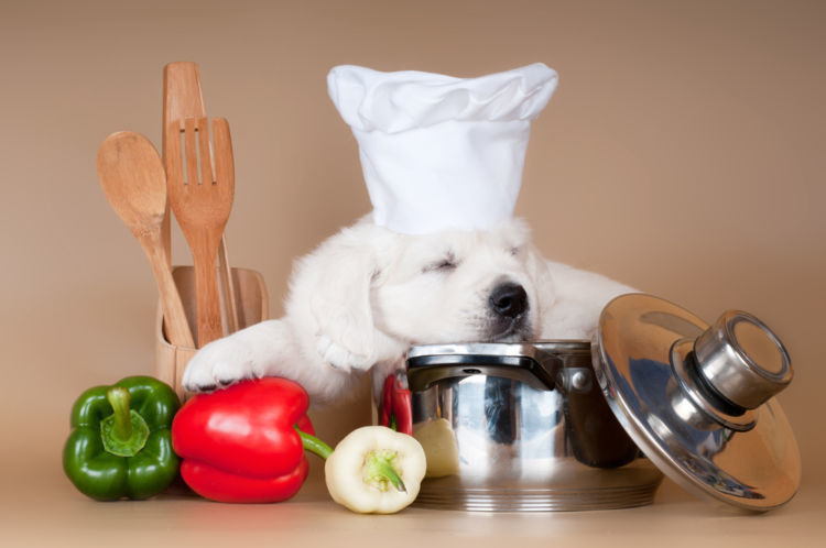 獣医師監修 犬がピーマンを食べても大丈夫 生や種 肉詰めは 口臭効果がある 適量や注意点も Hotto ホット