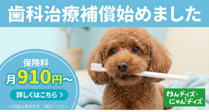 わんデイズ・にゃんデイズ